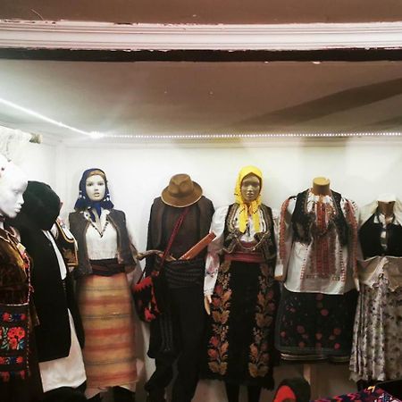 Appartamento Etno Domacinstvo Miris Bosiljka Mislodin Esterno foto