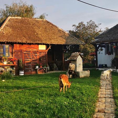 Appartamento Etno Domacinstvo Miris Bosiljka Mislodin Esterno foto