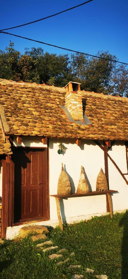 Appartamento Etno Domacinstvo Miris Bosiljka Mislodin Esterno foto