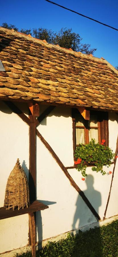Appartamento Etno Domacinstvo Miris Bosiljka Mislodin Esterno foto