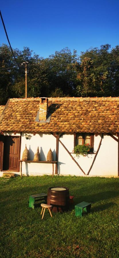Appartamento Etno Domacinstvo Miris Bosiljka Mislodin Esterno foto