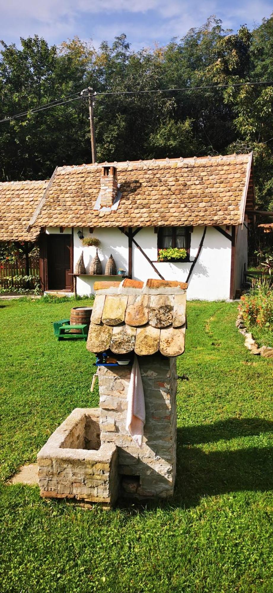Appartamento Etno Domacinstvo Miris Bosiljka Mislodin Esterno foto