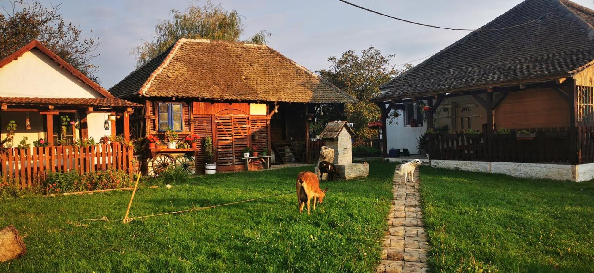 Appartamento Etno Domacinstvo Miris Bosiljka Mislodin Esterno foto