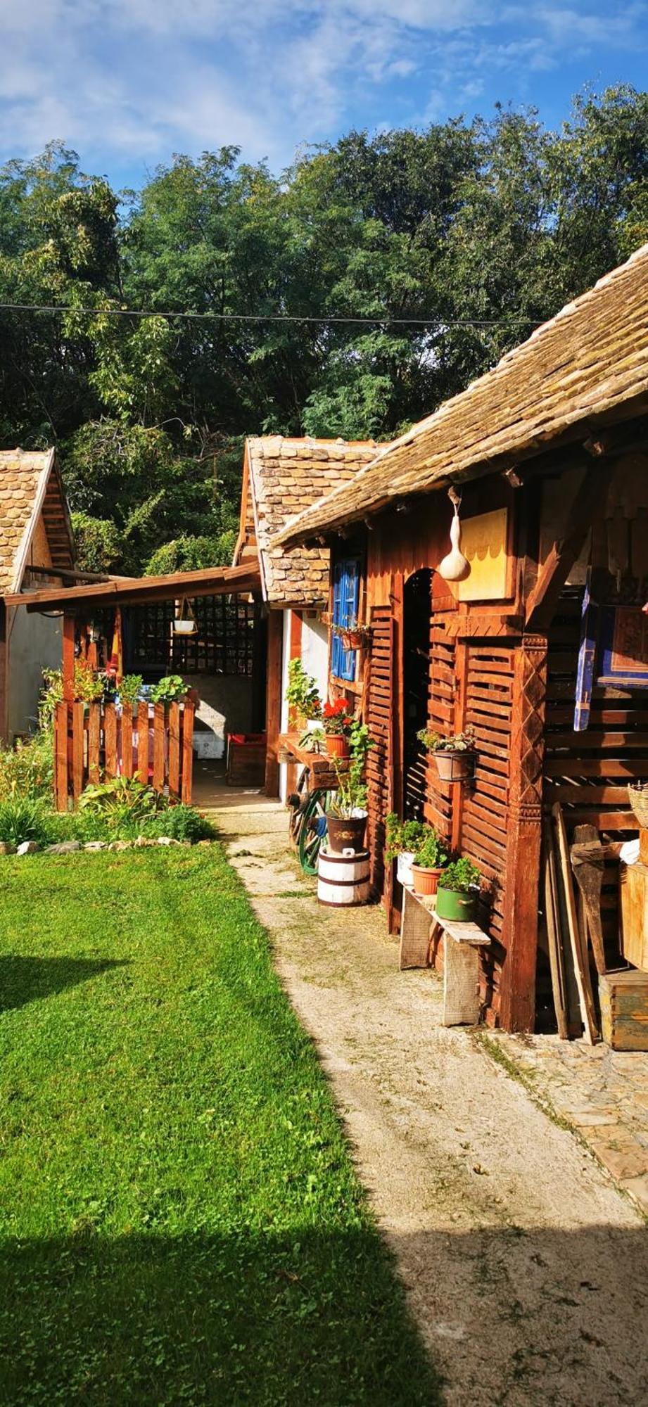 Appartamento Etno Domacinstvo Miris Bosiljka Mislodin Esterno foto